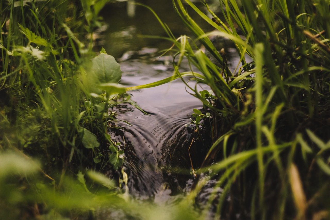 découvrez tout ce qu'il faut savoir sur le cash flow : définition, importance pour la gestion d'entreprise, conseils pour optimiser votre trésorerie et assurer la stabilité financière de votre activité.
